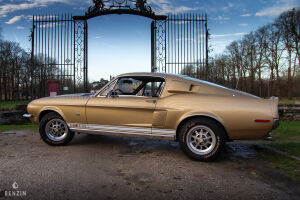 Ford Mustang Shelby GT350 - 1968