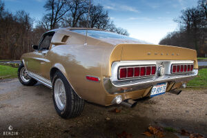 Ford Mustang Shelby GT350 - 1968