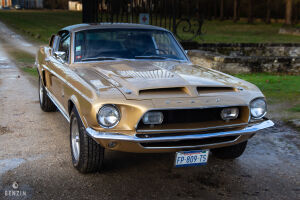 Ford Mustang Shelby GT350 - 1968