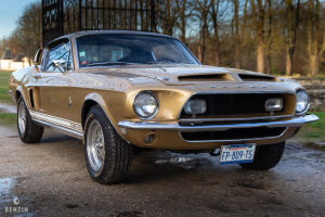 Ford Mustang Shelby GT350 - 1968