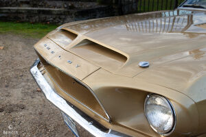 Ford Mustang Shelby GT350 - 1968