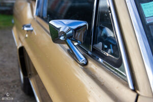 Ford Mustang Shelby GT350 - 1968