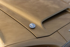 Ford Mustang Shelby GT350 - 1968