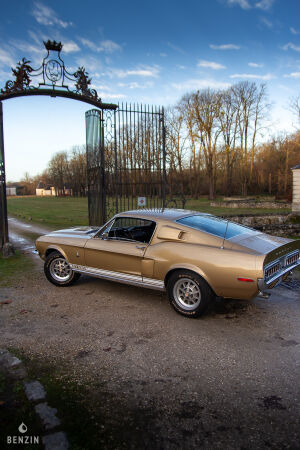Ford Mustang Shelby GT350 - 1968