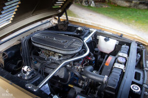 Ford Mustang Shelby GT350 - 1968