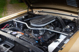 Ford Mustang Shelby GT350 - 1968