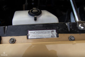 Ford Mustang Shelby GT350 - 1968