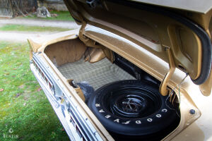 Ford Mustang Shelby GT350 - 1968