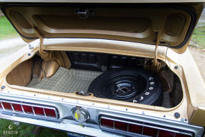 Ford Mustang Shelby GT350 - 1968