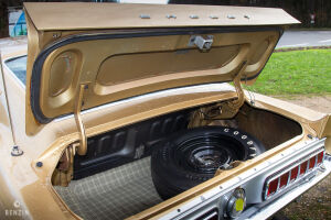 Ford Mustang Shelby GT350 - 1968