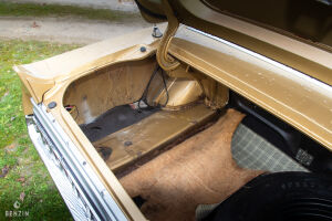 Ford Mustang Shelby GT350 - 1968