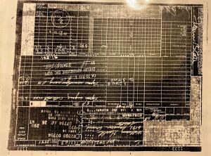 Ford Mustang Shelby GT350 - 1968