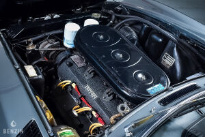 Ferrari 365 GT 2+2 - 1970