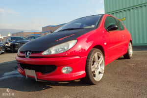 Peugeot 206 RC - 2004