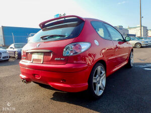 Peugeot 206 RC - 2004