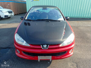 Peugeot 206 RC - 2004