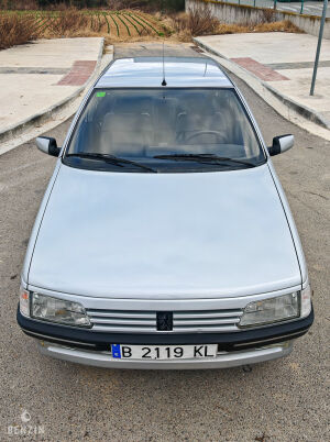 Peugeot 405 Mi16 - 1989