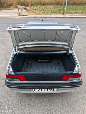 Peugeot 405 Mi16 - 1989