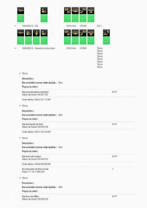 BMW 335i DKG e92 - 2009