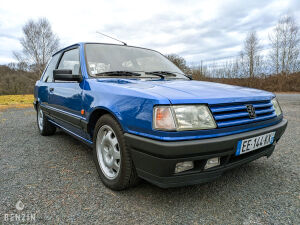 Peugeot 309 GTI16 - 1991