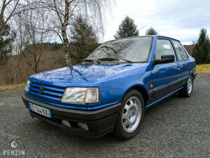 Peugeot 309 GTI16 - 1991