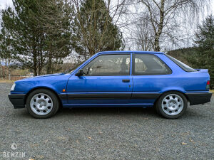 Peugeot 309 GTI16 - 1991