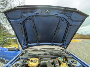 Peugeot 309 GTI16 - 1991