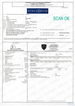 Peugeot 208 GT "Rallye 6" - 2022