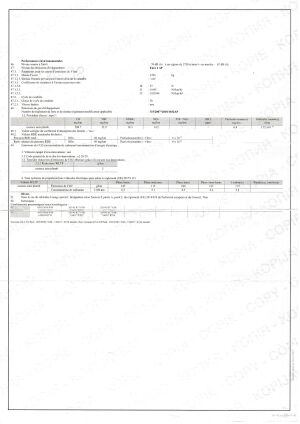 Peugeot 208 GT "Rallye 6" - 2022