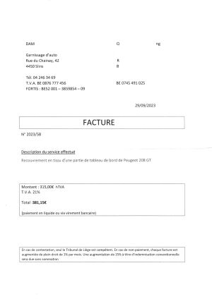 Peugeot 208 GT "Rallye 6" - 2022