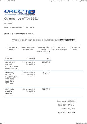 Peugeot 208 GT "Rallye 6" - 2022