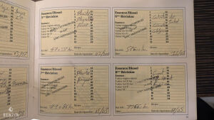 Renault Safrane Biturbo - 1996