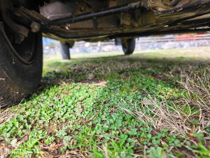 Renault 4 F6 - 1986 *Flash