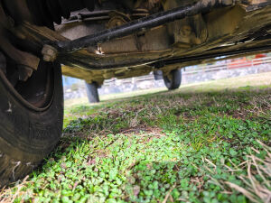 Renault 4 F6 - 1986 *Flash