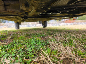 Renault 4 F6 - 1986 *Flash