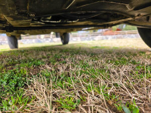 Renault 4 F6 - 1986 *Flash