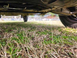 Renault 4 F6 - 1986 *Flash