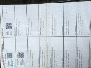 Renault 4 F6 - 1986 *Flash