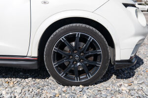 Nissan Juke Nismo - 2013