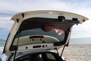 Nissan Juke Nismo - 2013