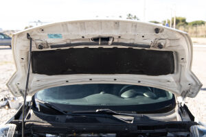 Nissan Juke Nismo - 2013