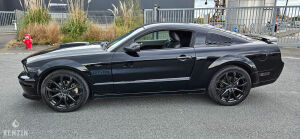 Ford Mustang GT California Special - 2006