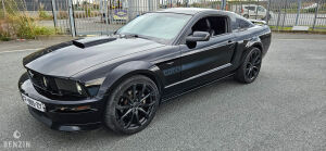 Ford Mustang GT California Special - 2006