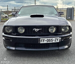 Ford Mustang GT California Special - 2006