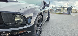 Ford Mustang GT California Special - 2006