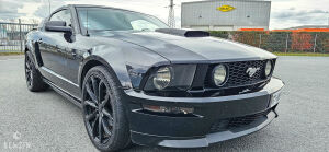 Ford Mustang GT California Special - 2006