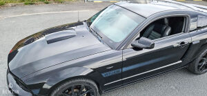 Ford Mustang GT California Special - 2006