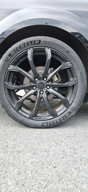 Ford Mustang GT California Special - 2006