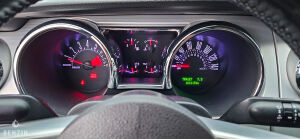 Ford Mustang GT California Special - 2006