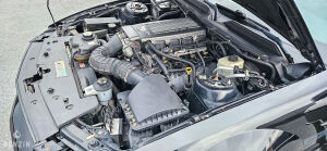 Ford Mustang GT California Special - 2006